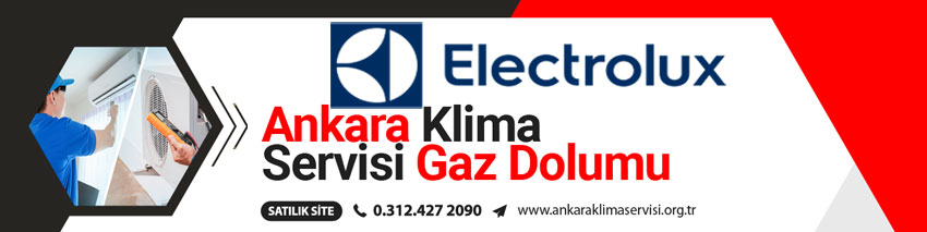 Electrolux Hamamönü Klima Servisi